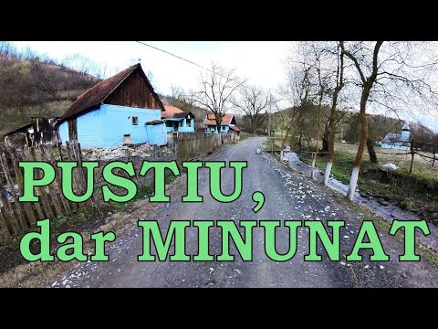 Bărăștii Iliei, satul aproape pustiu din Metaliferi