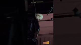 Daryl Hall - Sacred Songs - Orpheum Theater - Boston, MA 4/11/22