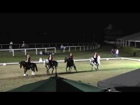 Sons of the wind at west Palm Beaches's "Dressage Under the Stars" demo
