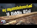 ഒറ്റ ആഞ്ഞിലിത്തടിക്ക് 18 ലക്ഷം രൂപ| Wild jack wood| Anjili tree| Pala| Kottayam| High price