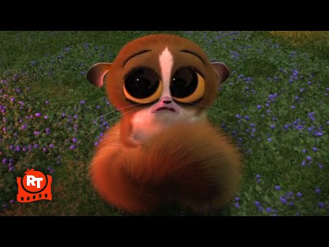 Madagascar - No Mort Scene