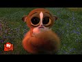 Madagascar No Mort Scene