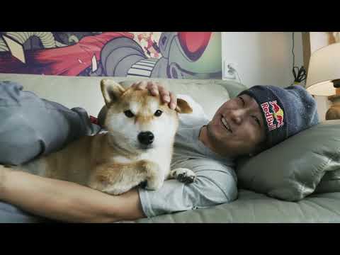 Magic Frog - Get On The Dancefloor