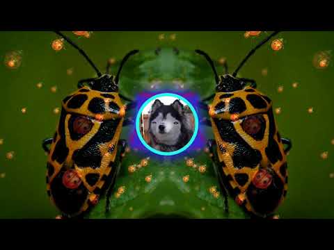 Šuldu Buldu Vabaliukai (Bass Boost)