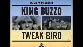 King Buzzo  -  The Hesitation Twist