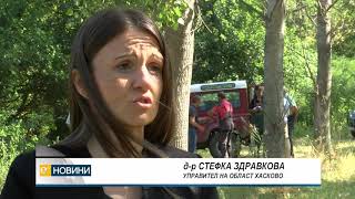Трагедия в Димитровград: 28 крави умряха след като пиха вода от река Марица