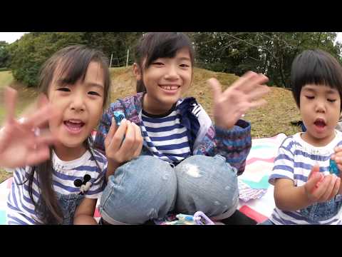 公園にかくされたふしぎなたまご？中身はなーんだ？