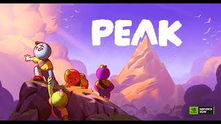 PEAKやる
