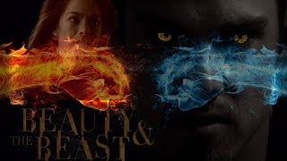 Happy Birthday Sandra - Dutch Beastie Artwork