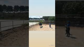 Zaragoza Hípica - Volteo