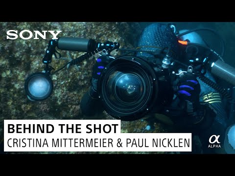 Behind the Shot with Paul Nicklen & Cristina Mittermeier