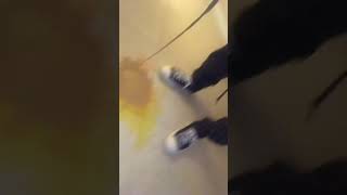 Don’t ever let me &amp; chayo nash in a #airbnb