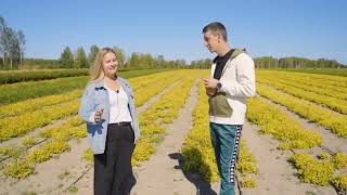 Фабрика растений Никитенко. Конгресс питомниководов России. Часть 2