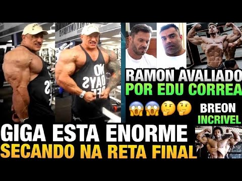 GIGA APARECE ENORME - RAMON TEM SHAPE AVALIADO POR CORREA E CARIANI - BREON ESTÁ INCRIVEL E MAIS