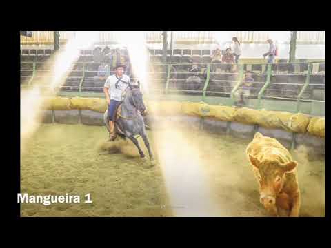 Laureada do Mano a Mano