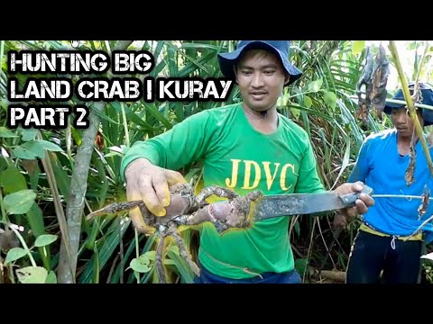 e115 Part 2 | Giant Kuray | Land Crab Hunting | D Ilocano Hunter