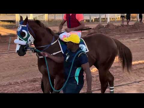 I GP HARAS CANELA DE VELHO, EM VÁRZEA GRANDE PIAUÍ 🇧🇷🏇
