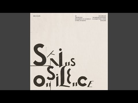 Fragments of a Portrait