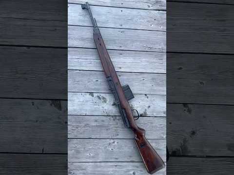 Gewehr 43 G43