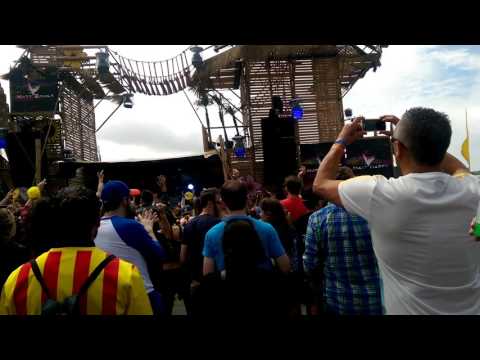 Matt Darey @ Luminosity Beach Festival - Binary Finary - 1998 (Matt Darey remix)