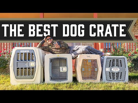 Best Dog Kennel For My Dog