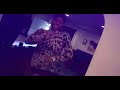 NBA YoungBoy Full Of Lean All Night Official Video Unreleased