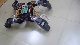 Robot Spider BKIT4U 2013 (4 legs   Test version )