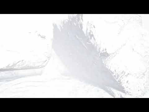 Brushify with Quixel in Unreal Engine 4