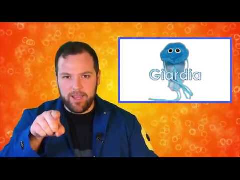 Fun Facts about Giardia