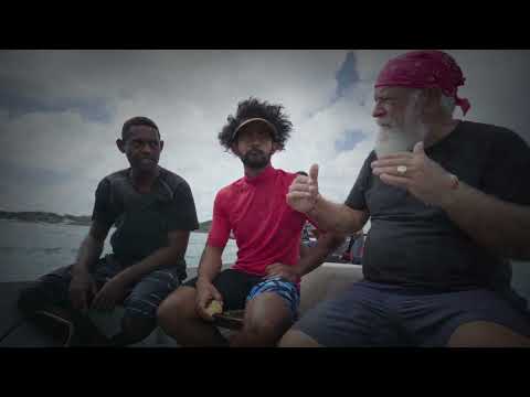 Emergency Response to Mass Coral Bleaching