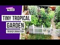 Tropical Garden Transformation | Tropical Tribe