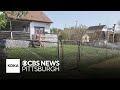 Child attacked, puppy killed during dog attack in Verona, police say