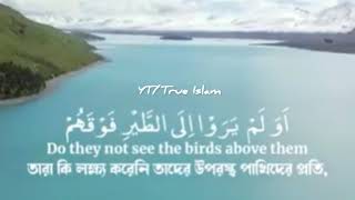 Download lagu Surah Al Mulk|Beautiful Tilawat|By Islam Sobhi|Heart touching voice|Tilawat with Bangladesh subtitle mp3