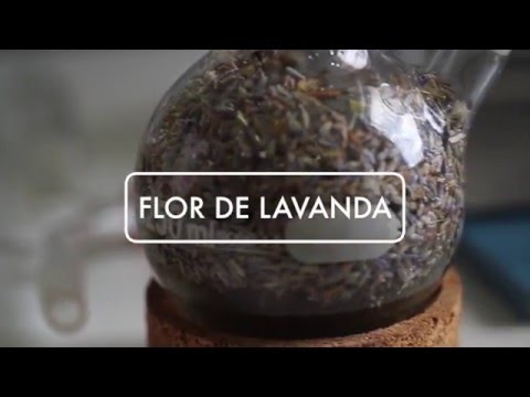 Vídeo: Obtendo esencia de lavanda