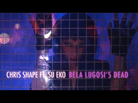 Chris Shape e Su Eko