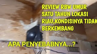 Download lagu REVIEW RBW UMUR 1 TAHUN 3 BULAN. mp3