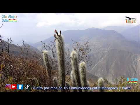 Vuelta por algunas Comunidades de Mecapaca y Palca, (La Paz Bolivia