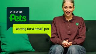 A beginners guide to owning a small pet | At Home with Pets