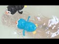 Magnific Bath Swiming Penguin Nadador