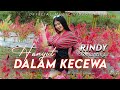 RINDY NOVIANTIKA HANYUT DALAM KECEWA Official Music Video