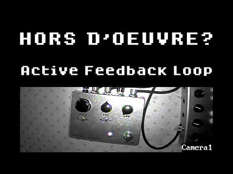 Fairfield Circuitry HORS D'OEUVRE? Active Feedback Loop image 2