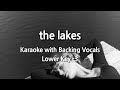 the lakes (Lower Key -3) Karaoke with Backing Vocals