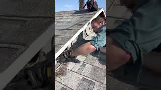 Best Way to Keep Roof Rats Out of Your Attic | Pest Solutions | Versa-Tech PM