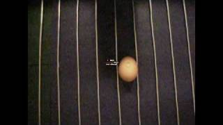 Manual Forced-Air Incubator