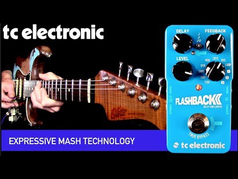 TC Electronic Flashback 2 with MASH