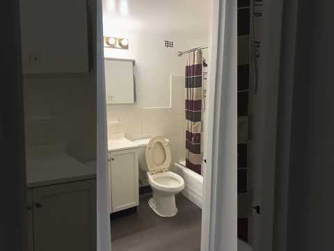 3817 Ventnor Ave property video