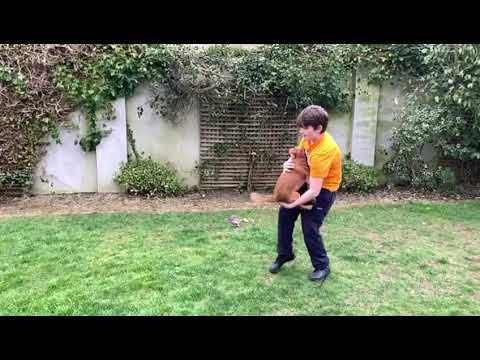 Evan Groves 10 with TJ doing his best trick jumping into your arms