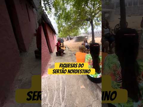 A riqueza que o sertão nordestino guarda #sertão #riograndedonorte #upanema #nordeste