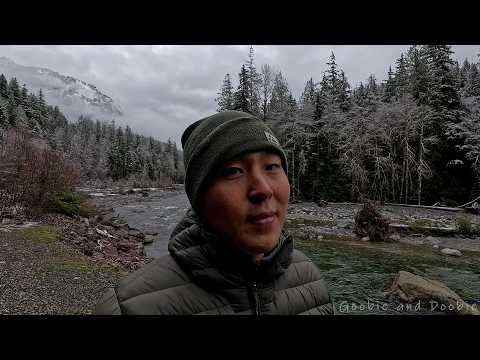 Letting Go to Be Alive