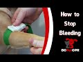 Pet First Aid: How to Stop Bleeding